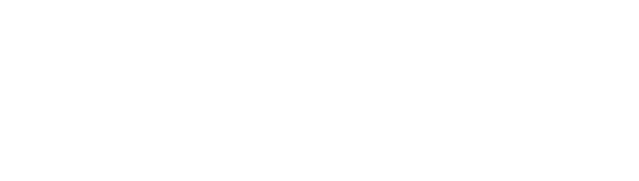 MEGASYS Logo weiß